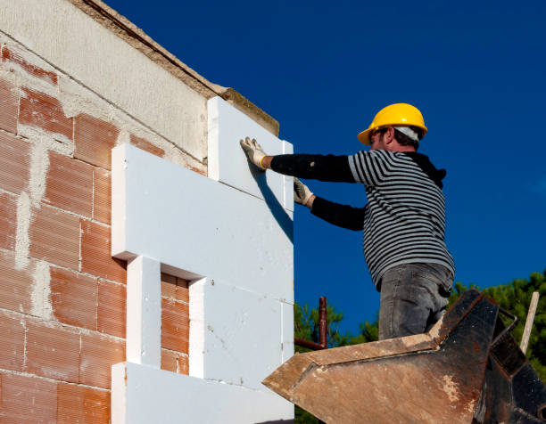 Best Specialized Insulation Services in USA
